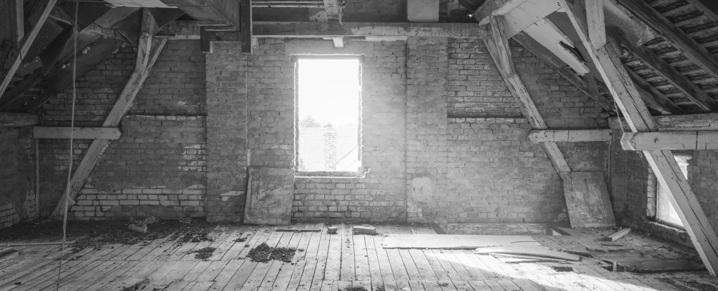 damage attic canton ga