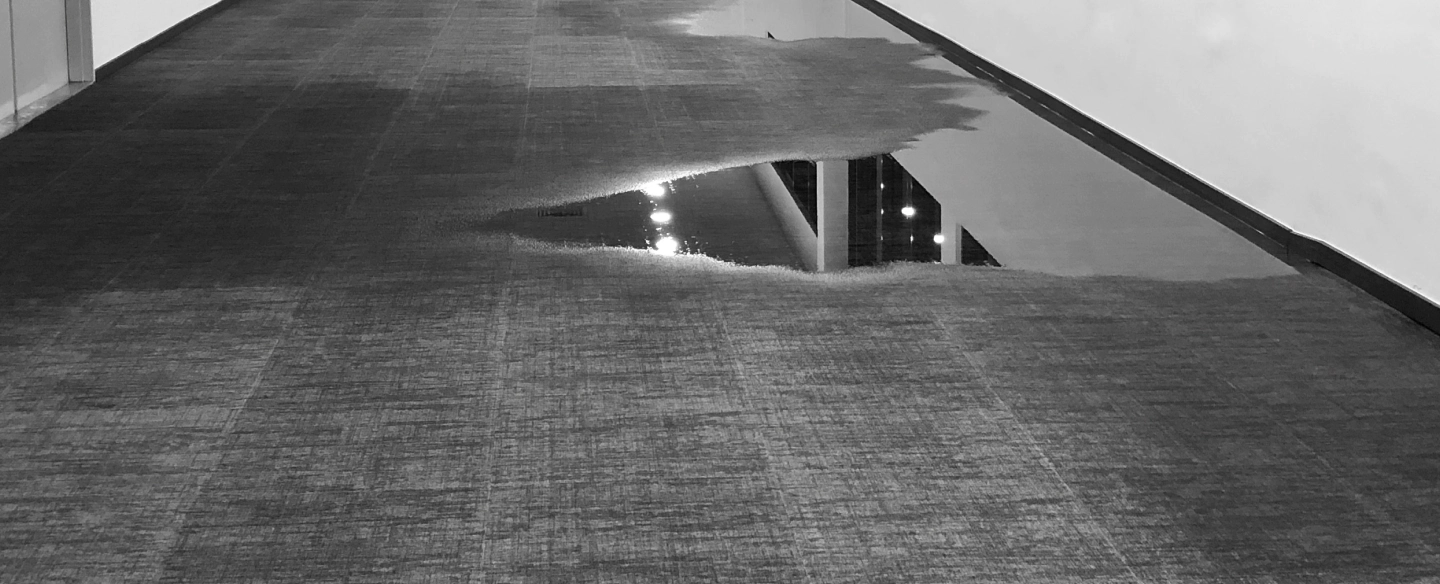 water mitigation canton ga