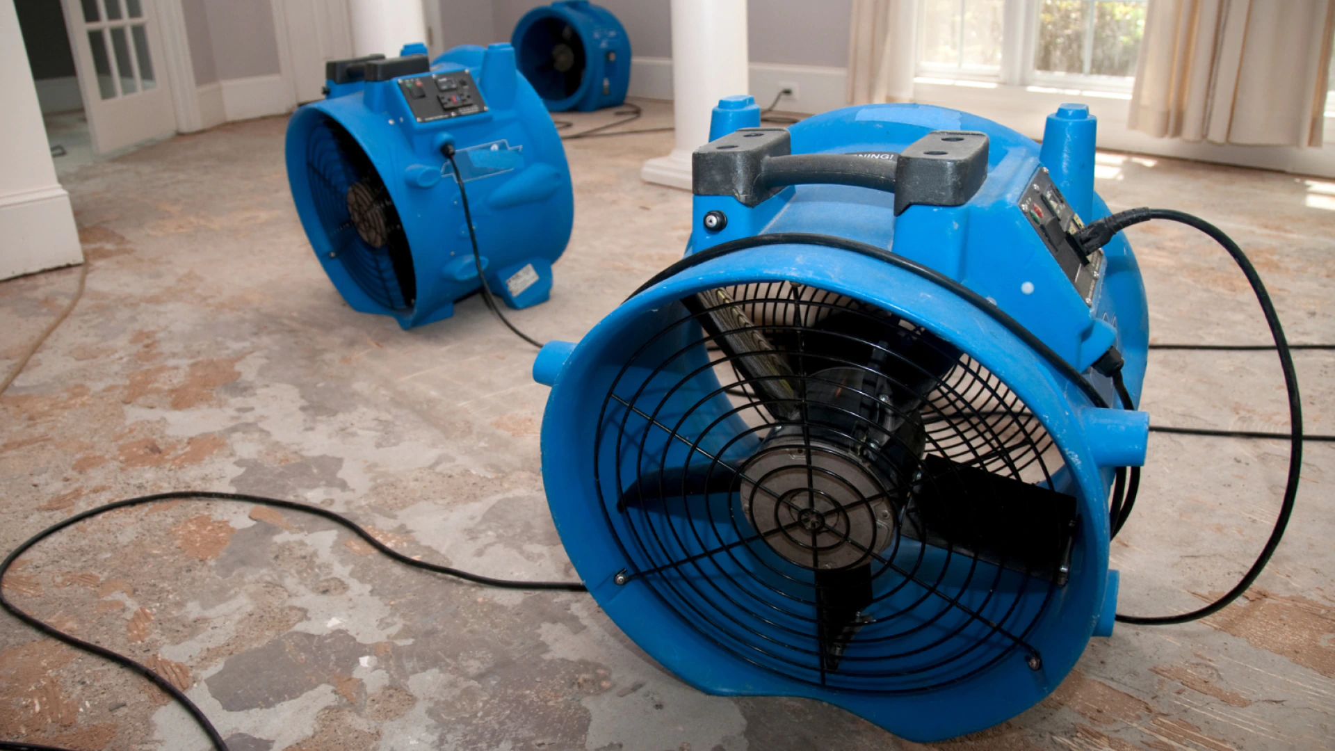 water mitigation service